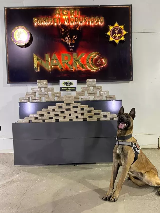 Ağrı'da bir buçuk yılda 1 ton 260 kilo 707 gram uyuşturucu madde ele geçirildi Ağrı'da bir buçuk yılda 1 ton 260 kilo 707 gram uyuşturucu madde ele geçirildi