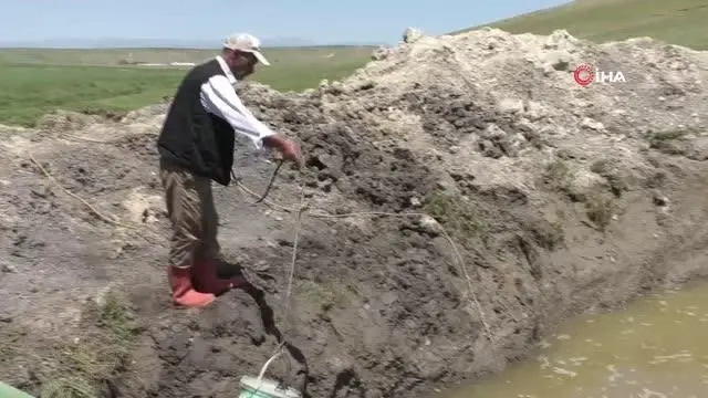 Ağrılı çiftçiler kuraklık nedeniyle kendi imkanlarıyla sulama yapmaya başladı Ağrılı çiftçiler kuraklık nedeniyle kendi imkanlarıyla sulama yapmaya başladı