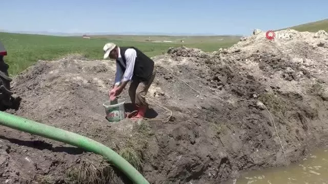 Ağrılı çiftçiler kuraklık nedeniyle kendi imkanlarıyla sulama yapmaya başladı Ağrılı çiftçiler kuraklık nedeniyle kendi imkanlarıyla sulama yapmaya başladı