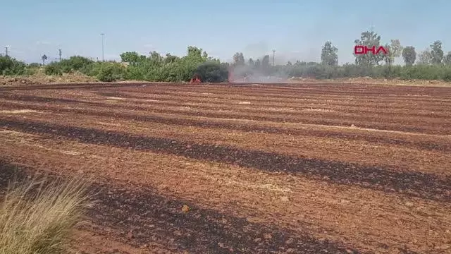 ANTALYA YANGIN ALANINDAN KAÇMAYA ÇALIŞAN YILAN ARACIN ALTINDA KALARAK TELEF OLDU ANTALYA YANGIN ALANINDAN KAÇMAYA ÇALIŞAN YILAN ARACIN ALTINDA KALARAK TELEF OLDU