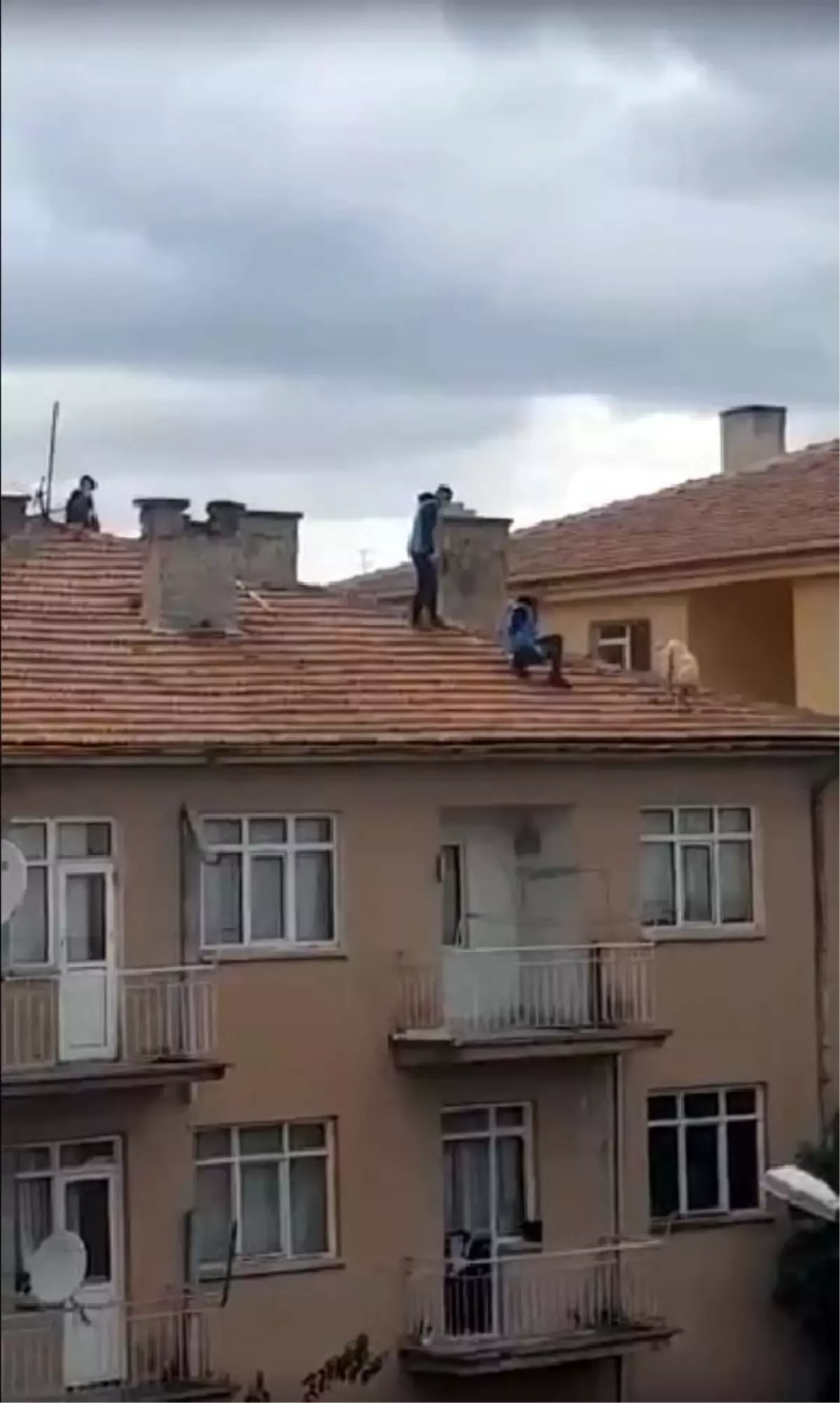 Çatıya çıkan köpeği güçlükle yakaladılar