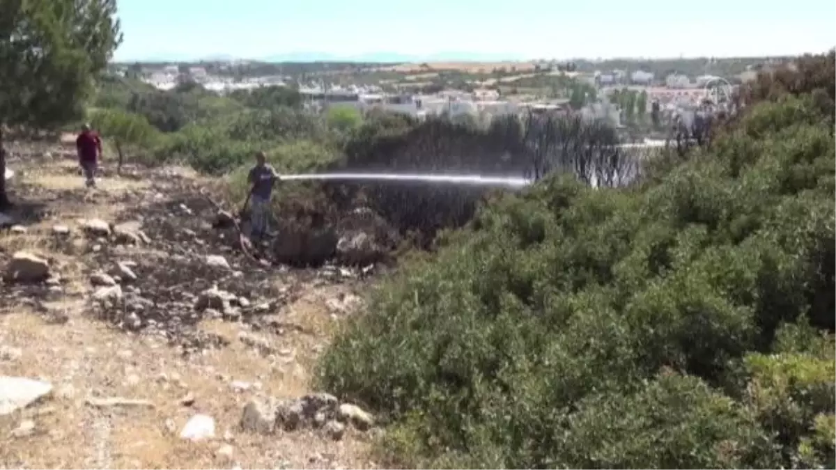 Son dakika haberi: Didim'de makilik alanda çıkan yangın söndürüldü