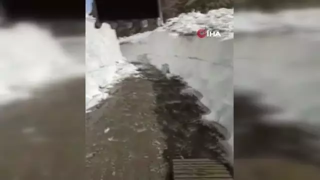 Kar kalınlığının 4 metreyi bulduğu yayla yolu açıldı