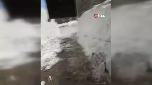 Kar kalınlığının 4 metreyi bulduğu yayla yolu açıldı