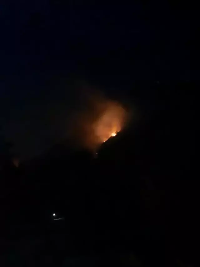 Manavgat'ta çıkan orman yangını kontrol altına alındı Manavgat'ta çıkan orman yangını kontrol altına alındı