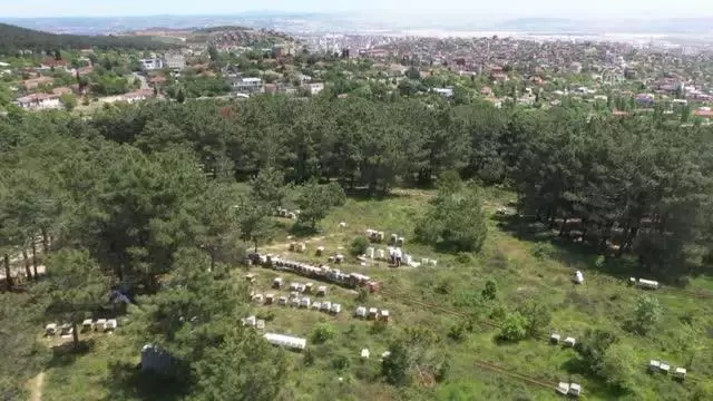 Megakent İstanbul'un arıcıları kent yaşamını ballandırıyor
