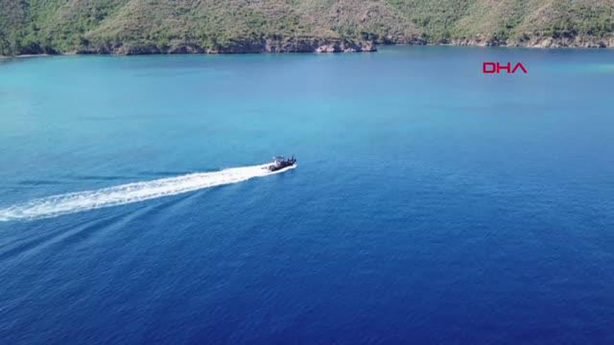 MUĞLA MARMARİS BONCUK KOYU'NDAKİ KUM KÖPEKBALIKLARININ KAMERAYLA TAKİBİNE BAŞLANDI