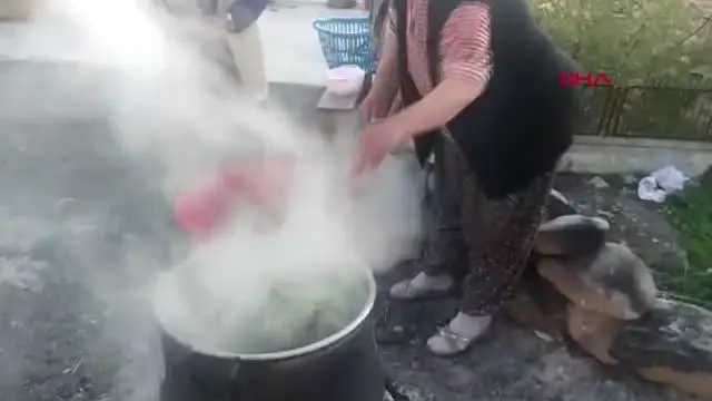 ORDU ŞİFALI OLDUĞUNA İNANDIKLARI ÇAKŞIR OTUNU TOPLUYORLAR ORDU ŞİFALI OLDUĞUNA İNANDIKLARI ÇAKŞIR OTUNU TOPLUYORLAR