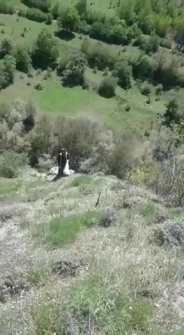 ORDU ŞİFALI OLDUĞUNA İNANDIKLARI ÇAKŞIR OTUNU TOPLUYORLAR ORDU ŞİFALI OLDUĞUNA İNANDIKLARI ÇAKŞIR OTUNU TOPLUYORLAR