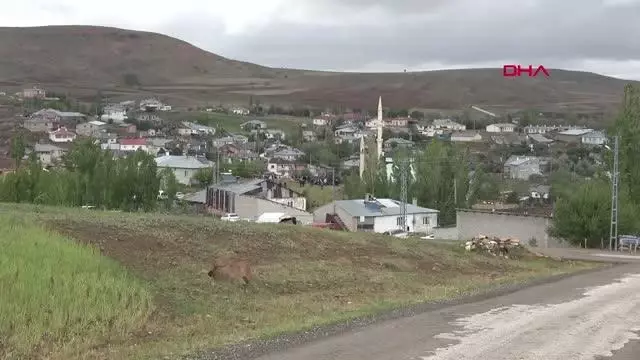 Son dakika haberleri! SİVAS'TA, ARAZİ SULAMA TARTIŞMASINDA ÖLDÜRÜLEN BABA VE OĞLU DEFNEDİLDİ Son dakika haberleri! SİVAS'TA, ARAZİ SULAMA TARTIŞMASINDA ÖLDÜRÜLEN BABA VE OĞLU DEFNEDİLDİ