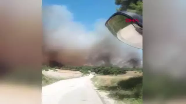 Son dakika! Adana'da orman yangını Son dakika! Adana'da orman yangını