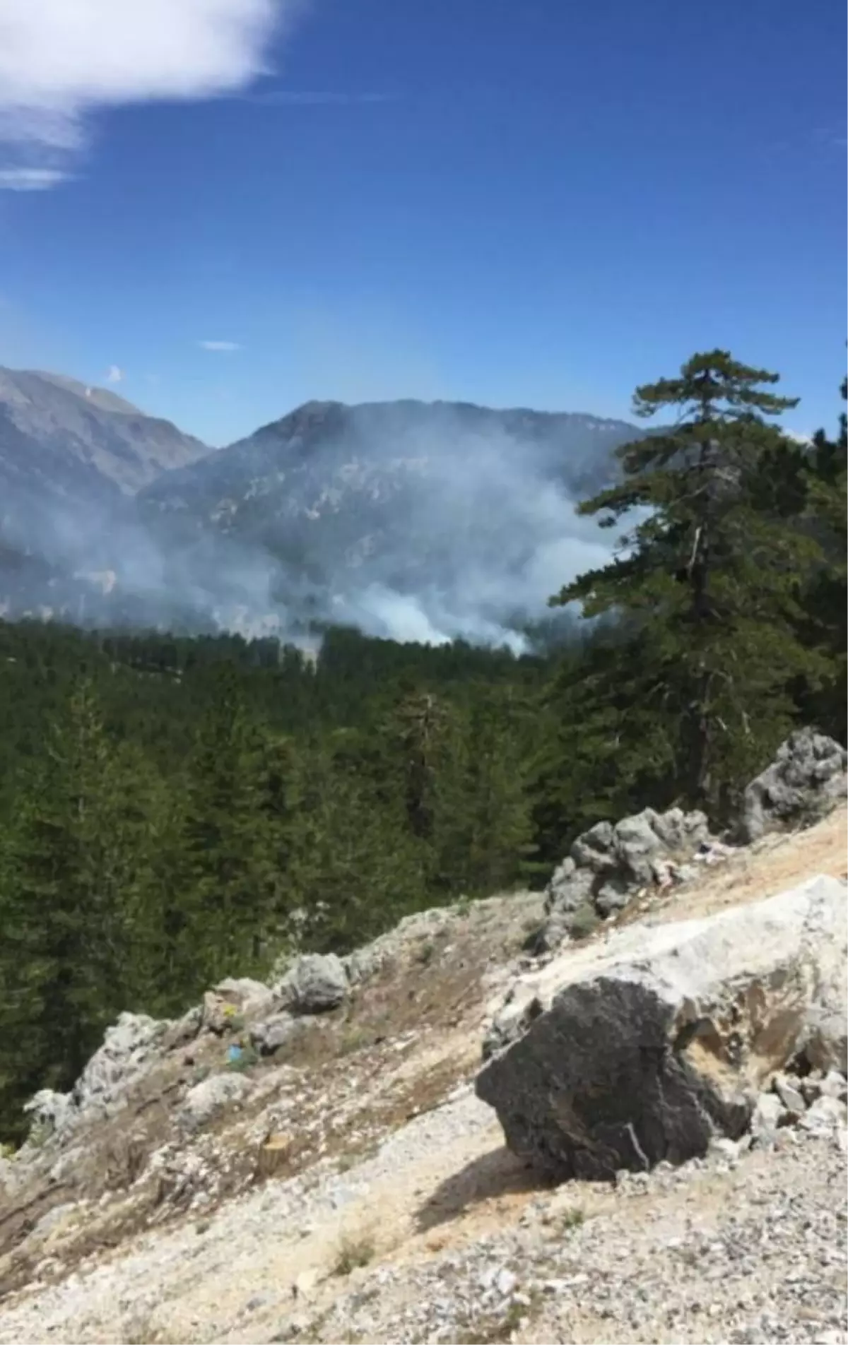 Alanya'da orman yangını