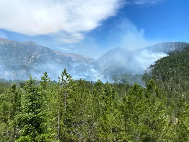 Alanya'da orman yangını Alanya'da orman yangını