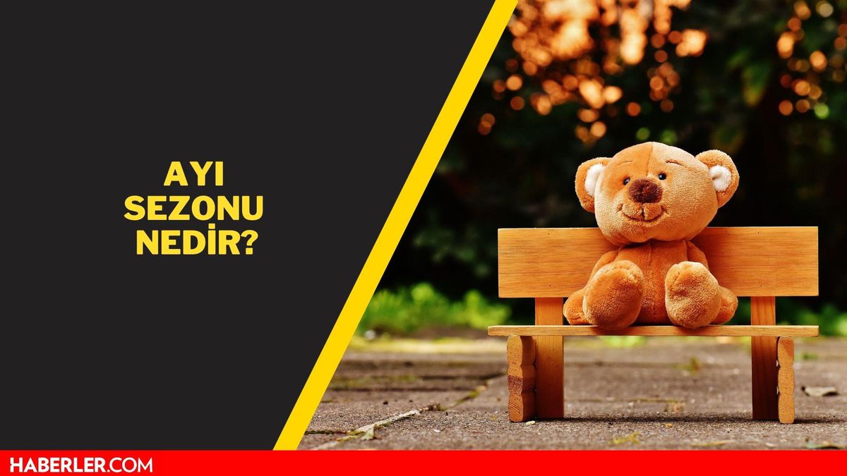 Ayı sezonu nedir, ne demek? Ayı sezonu ne kadar sürer? Bitcoin ayı sezonu detayları