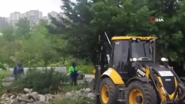 Beylikdüzü'nde belediye ekiplerinin 160 ağacı söktüğü iddiası tepki topladı
