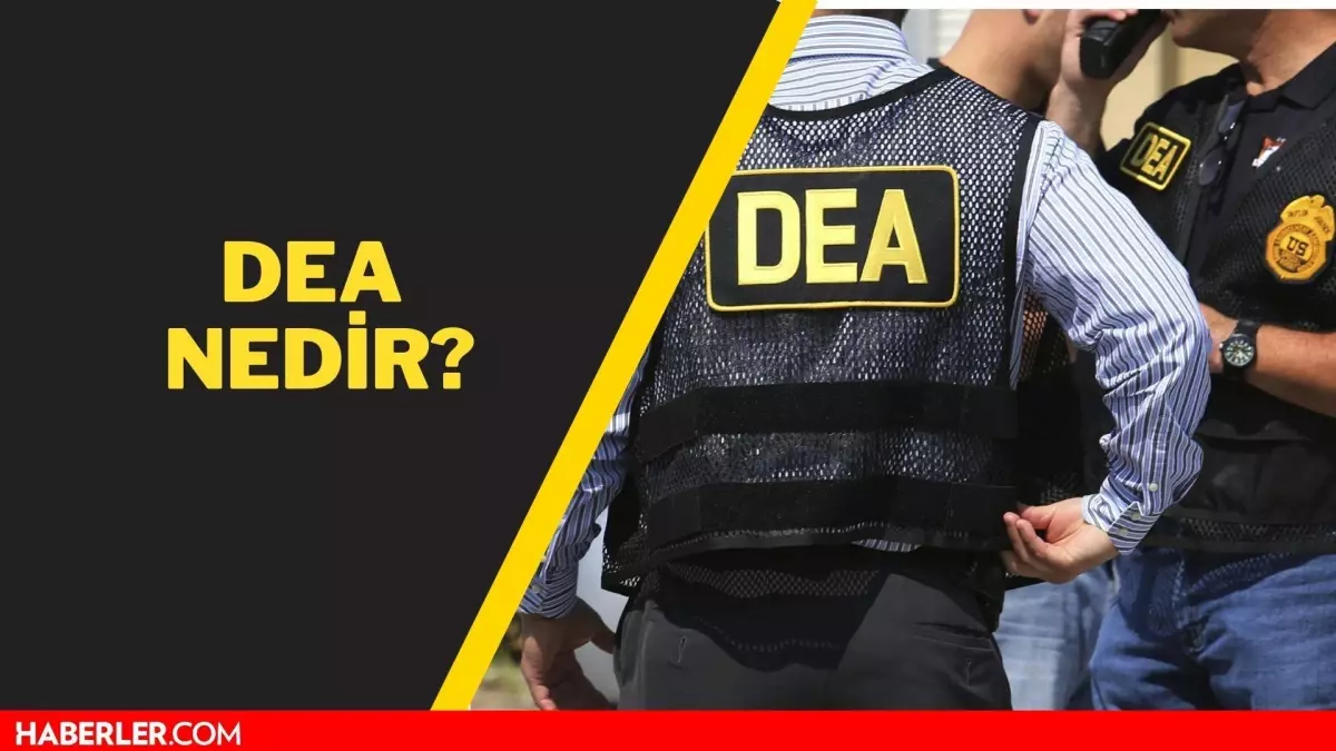 DEA nedir? DEA açılımı nedir?