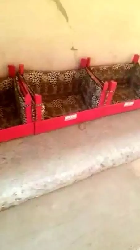 Antalya'da apartman sakinlerinin kedi besleme tartışması Antalya'da apartman sakinlerinin kedi besleme tartışması