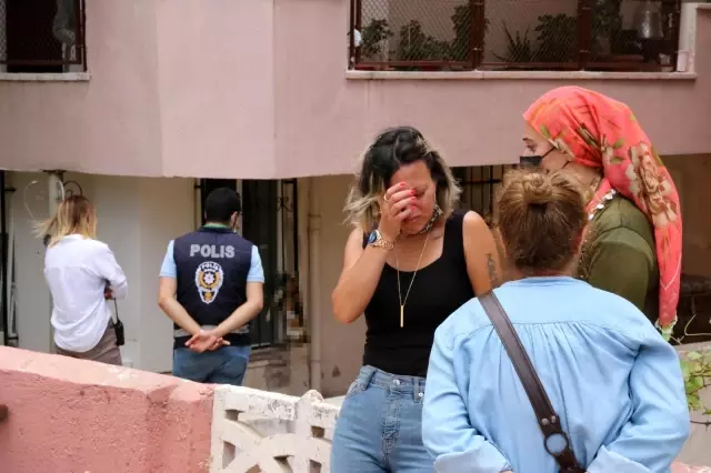 Antalya'da apartman sakinlerinin kedi besleme tartışması Antalya'da apartman sakinlerinin kedi besleme tartışması