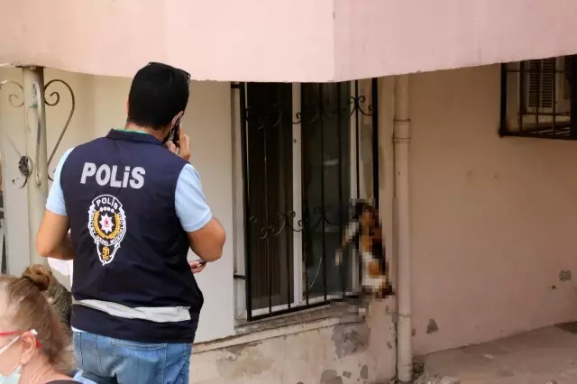 Antalya'da apartman sakinlerinin kedi besleme tartışması Antalya'da apartman sakinlerinin kedi besleme tartışması