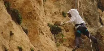 Beden öğretmeni, hobi olarak toplamaya başladığı kaya balının kilosunu 1000 liradan satıyor