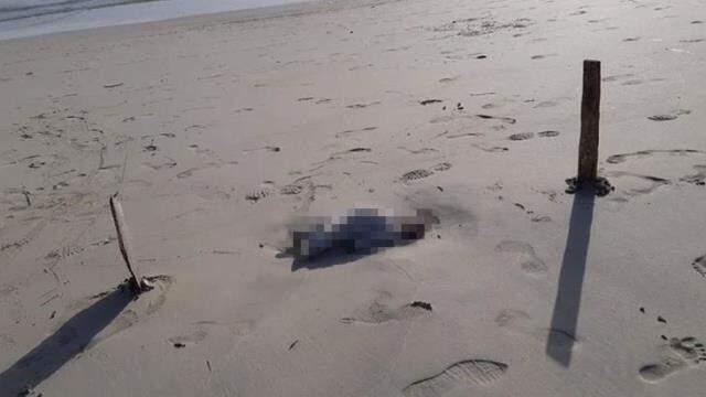 Göçmen teknelerinin batması nedeniyle yaşamını yitiren çocukların cansız bedenleri Libya sahiline vurdu