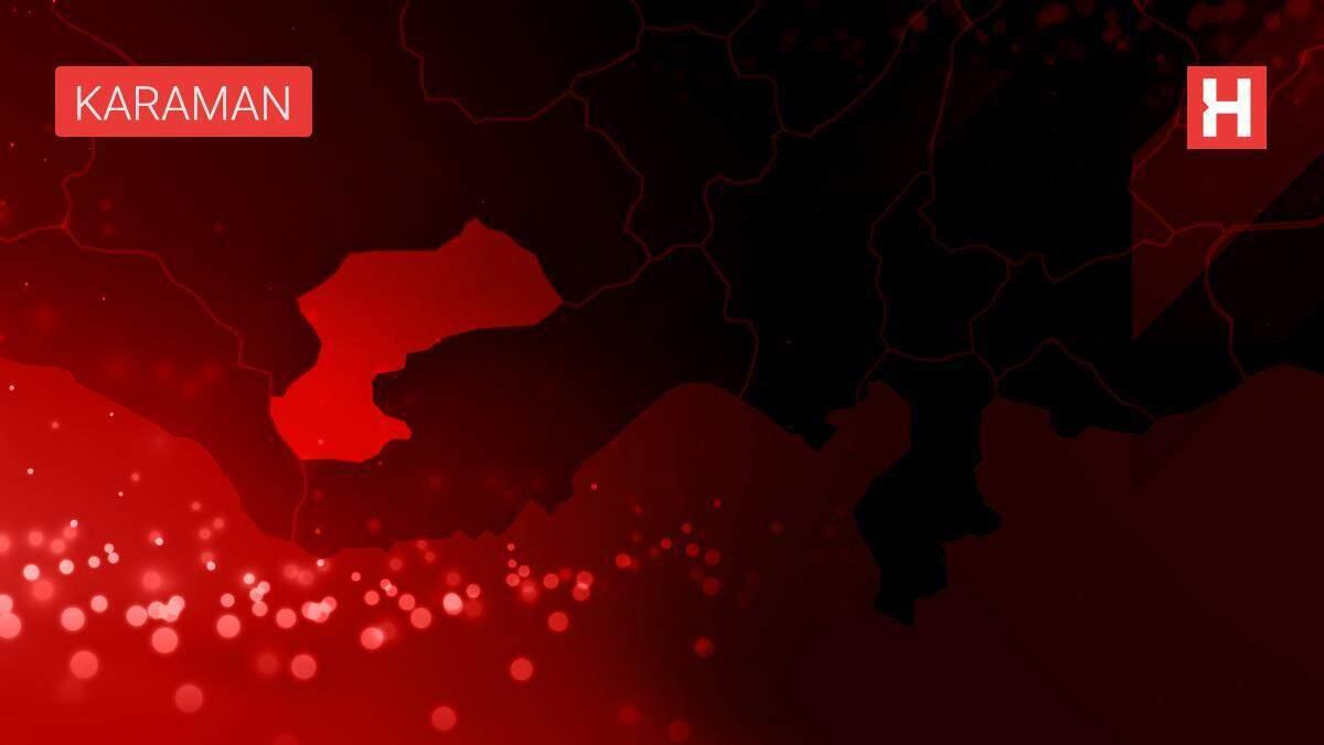 Hadim'de çiftçilerin üzüm yaprağı mesaisi başladı