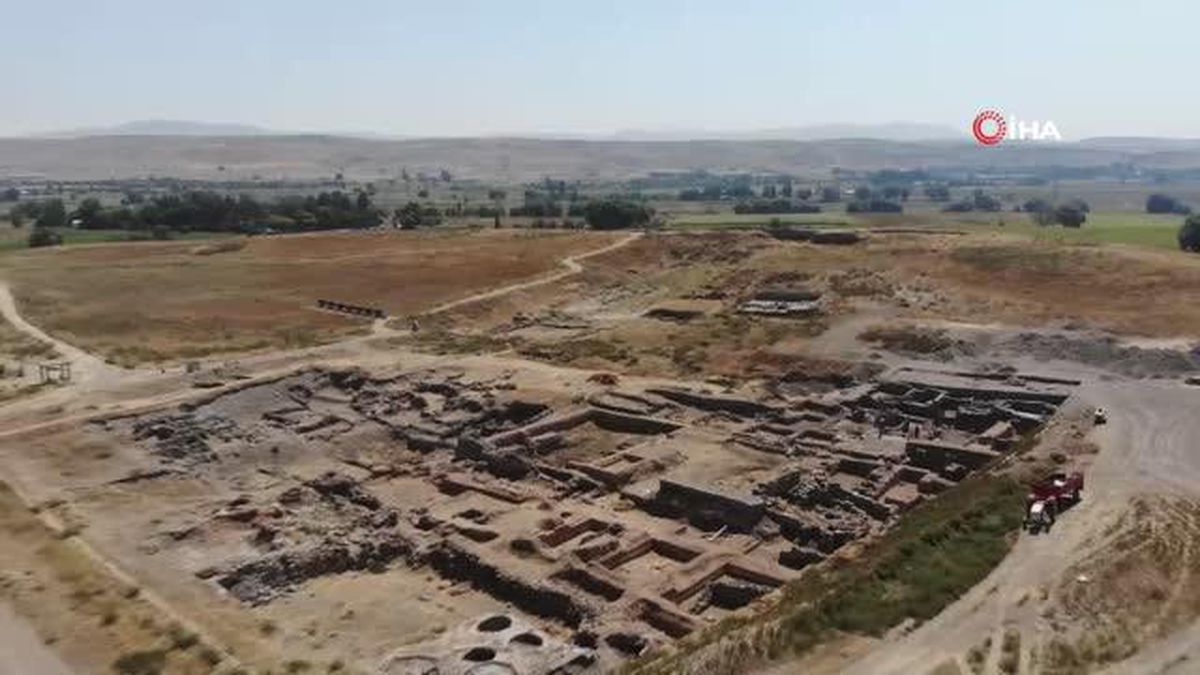 'Kültepe'ye gelen tüccarlar sadece teknoloji değil gen transferi de yaptı'