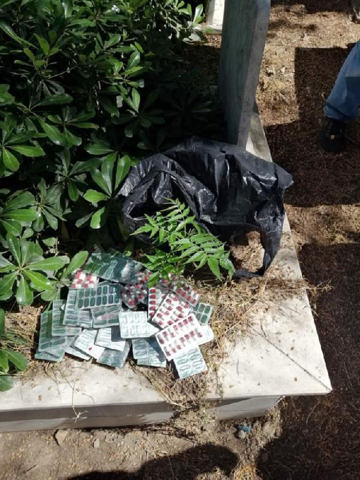 Mezara uyuşturucu saklayan 2 şüpheli tutuklandı
