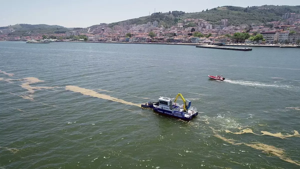 Mudanya'da denizde müsilaj temizliği yapılıyor