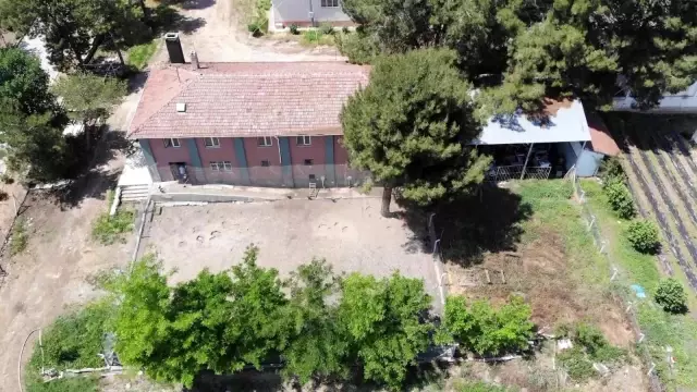 Muhabbet kuşu yetiştirip yok satan tek okul Muhabbet kuşu yetiştirip yok satan tek okul