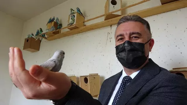 Muhabbet kuşu yetiştirip yok satan tek okul Muhabbet kuşu yetiştirip yok satan tek okul