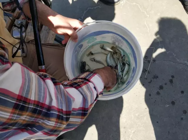 Sarıyer'de amatör balıkçılara denetim