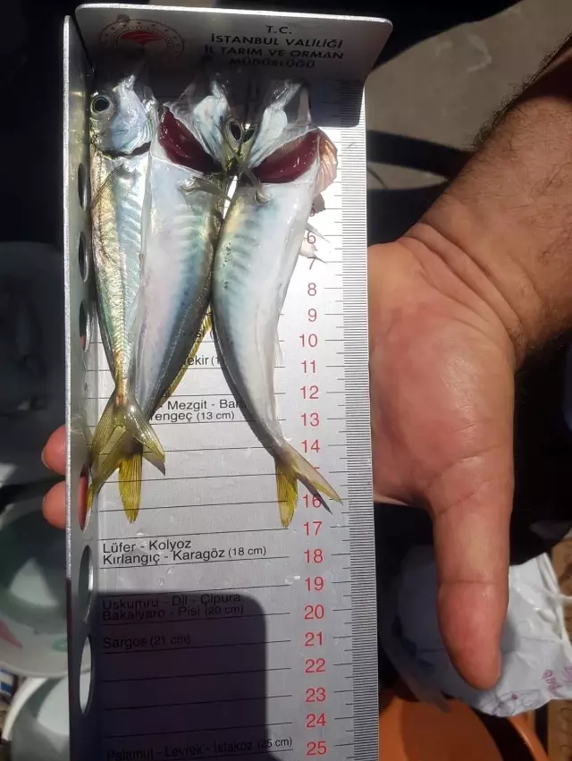 Sarıyer'de amatör balıkçılara denetim