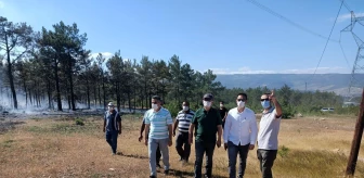 Silifke Belediye Başkan Vekili Altunok, yangında zarar gören alanları inceledi