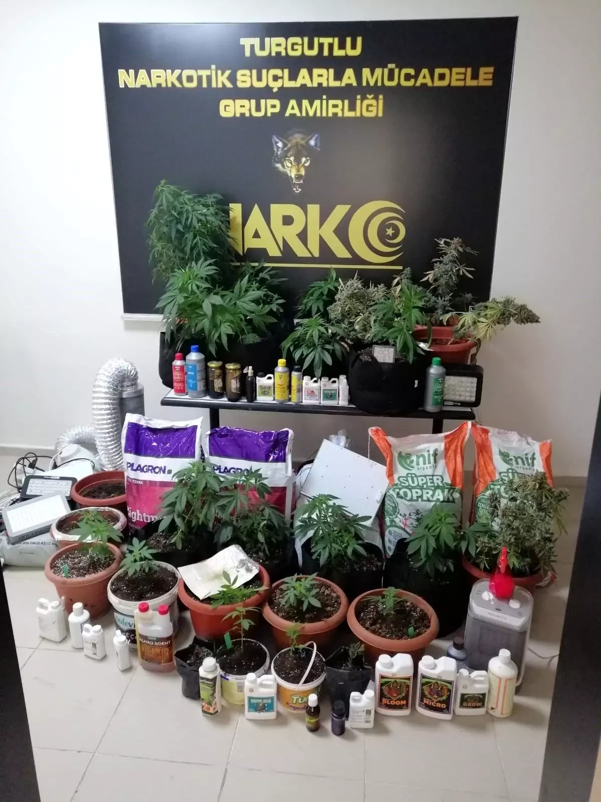 Turgutlu'da 'esrarlı eve' baskın