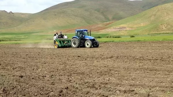 YÜKSEKOVA'DA KADIN ELİYLE EKİM SEFERBERLİĞİ