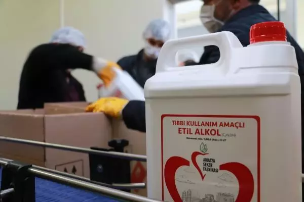 Amasya'da bu yıl 7 milyon litre etil alkol üretilecek Amasya'da bu yıl 7 milyon litre etil alkol üretilecek