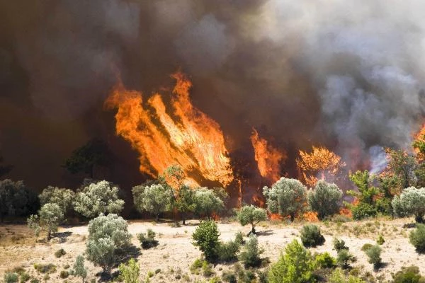 Antalya'da 3 günde, 22 yangında 80 dekar kül oldu