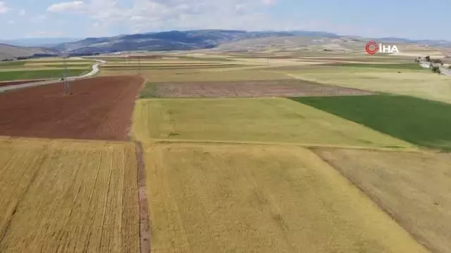 Bayat ovasında 250 bin dönüm tarım arazisini kuraklık vurdu Bayat ovasında 250 bin dönüm tarım arazisini kuraklık vurdu