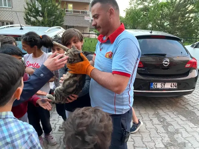 Çatıda mahsur kalan hamile kediyi itfaiye ekipleri kurtardı Çatıda mahsur kalan hamile kediyi itfaiye ekipleri kurtardı