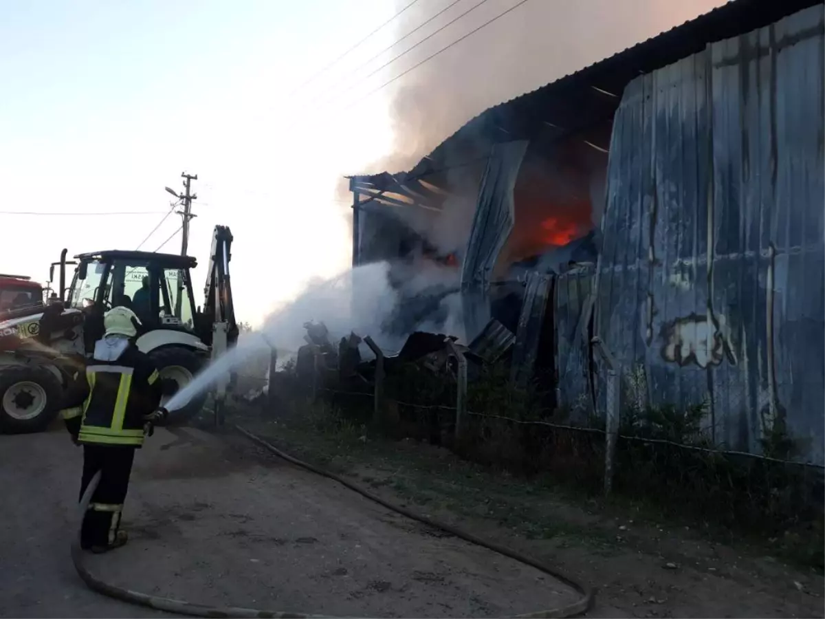 Çiftliğin saman deposunda korkutan yangın