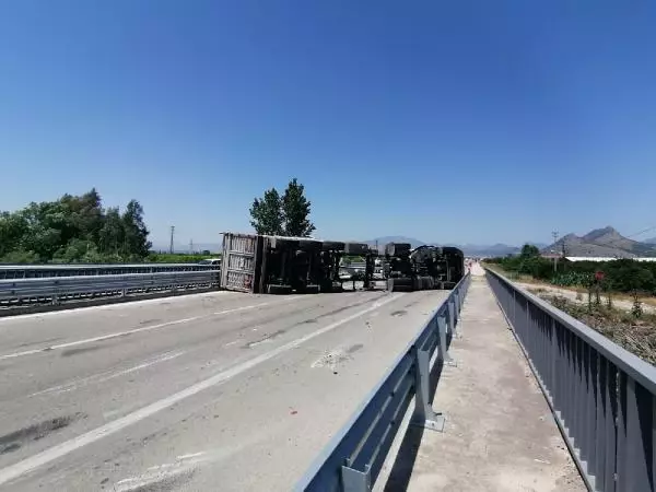 Damperi açık TIR, direği devirdi