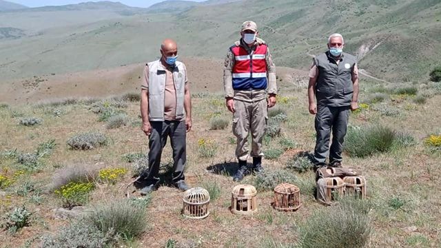 Elazığ'da kaçak avda yakalanan 3 şahsa işlem yapıldı Elazığ'da kaçak avda yakalanan 3 şahsa işlem yapıldı