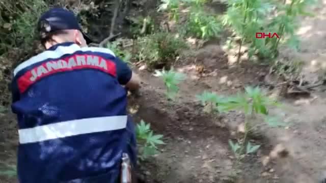 İZMİR'DE UYUŞTURUCU OPERASYONLARINA 2 TUTUKLAMA