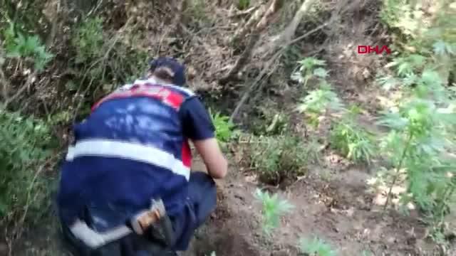 İZMİR'DE UYUŞTURUCU OPERASYONLARINA 2 TUTUKLAMA