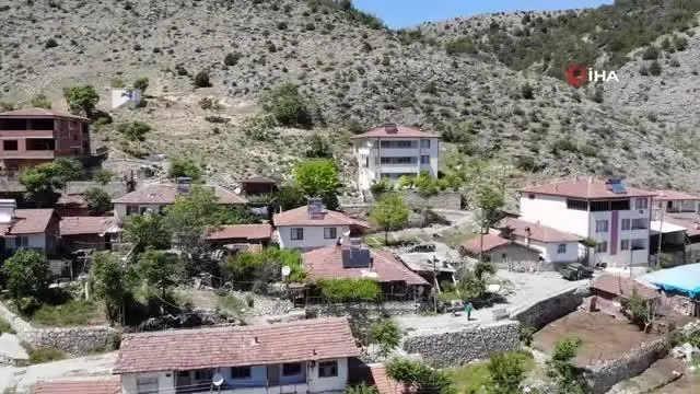 Kırlangıçların lambalara inşa ettiği 'Yuvacık' Kırlangıçların lambalara inşa ettiği 'Yuvacık'