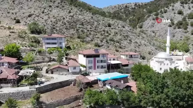 Kırlangıçların lambalara inşa ettiği 'Yuvacık' Kırlangıçların lambalara inşa ettiği 'Yuvacık'