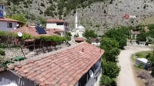 Kırlangıçların lambalara inşa ettiği 'Yuvacık' Kırlangıçların lambalara inşa ettiği 'Yuvacık'