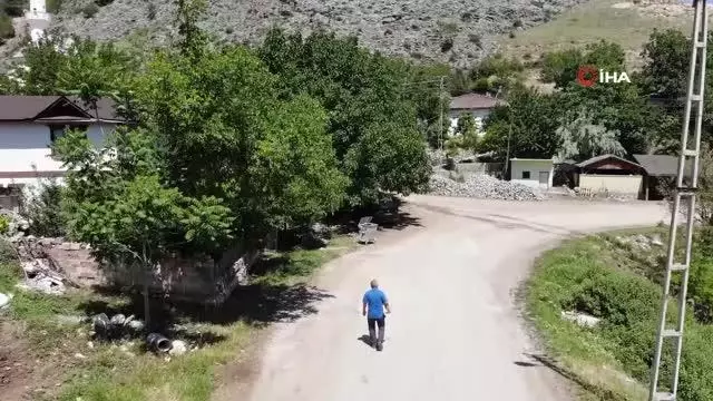 Kırlangıçların lambalara inşa ettiği 'Yuvacık' Kırlangıçların lambalara inşa ettiği 'Yuvacık'