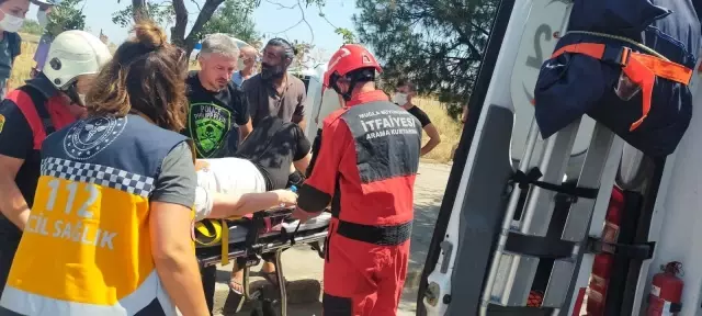 Muğla'da iki otomobilin çarpışması sonucu 4 kişi yaralandı Muğla'da iki otomobilin çarpışması sonucu 4 kişi yaralandı